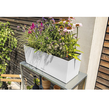 Rektangulär blomlåda med olika blommor på ett metallbord