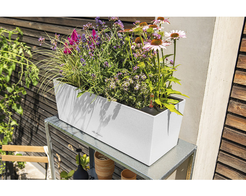 Rektangulär blomlåda med olika blommor på ett metallbord