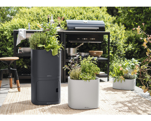 Trädgårdsarrangemang med örter i planteringskärl på en terrass