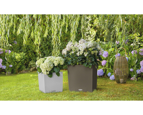 Två planteringskärl med växter och en lykta i trädgården.