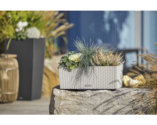 Dekorativa planteringskärl i trädgårdsmiljö.