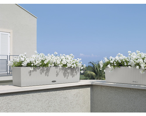 Två planterade blomlådor utomhus