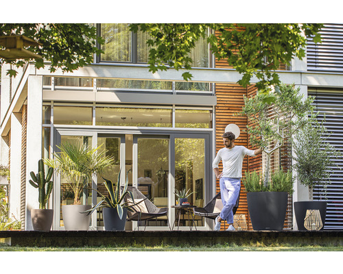 Terrass med olika växter i krukor framför ett modernt hus.