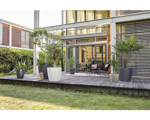 Utomhusområde med växter i planteringskärl på en terrass