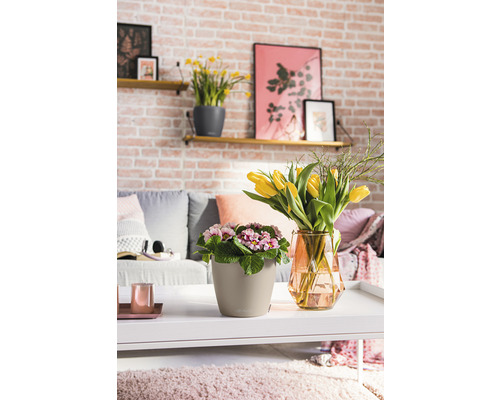 Vardagsrum med bordsdekoration, bestående av blomkrukor och tulpaner i en vas