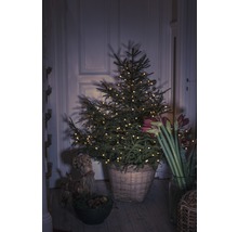 Dekorerad julgran i flätad korg med amaryllis och halmfigur