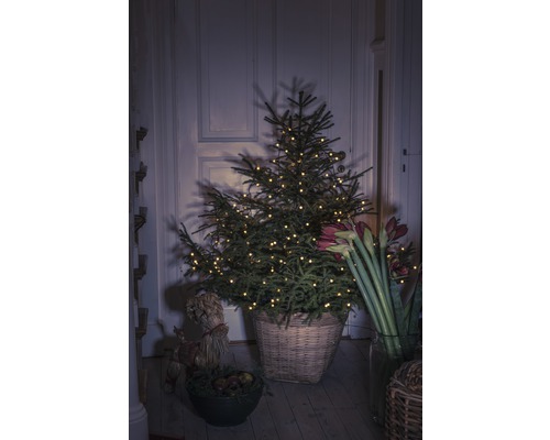 Dekorerad julgran i flätad korg med amaryllis och halmfigur