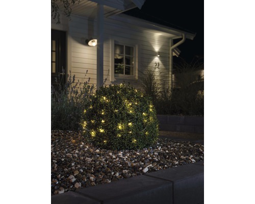 Dekorativ buske med ljusslinga i trädgården framför huset.