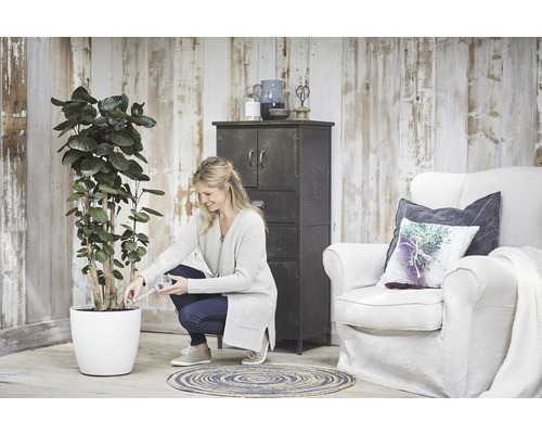 Kvinna vattnar växt i vit kruka i rumsmiljö