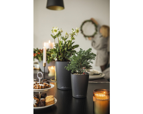 Dekorativt bord med växter i krukor, bakverk, ljus och en person som hänger upp en krans.