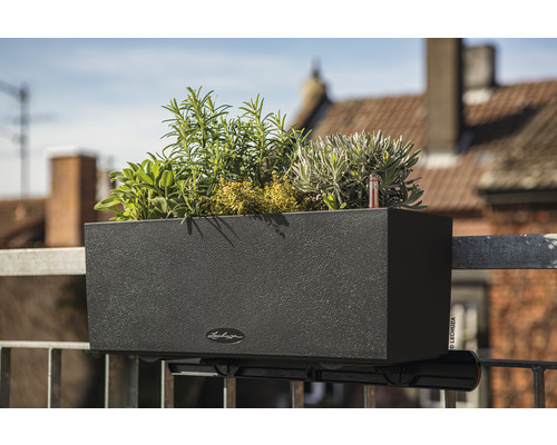 Svart blomlåda med örter för montering på balkongräcket.