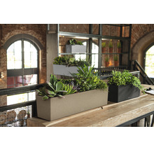 Självvattnande balkonglåda LECHUZA Balconera Stone 80x19cm beige