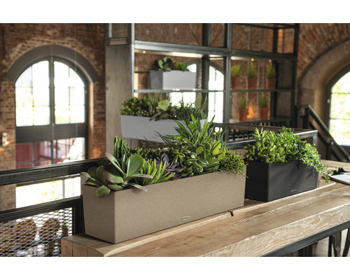 Flera blomlådor med växter i ett rum på ett bord.