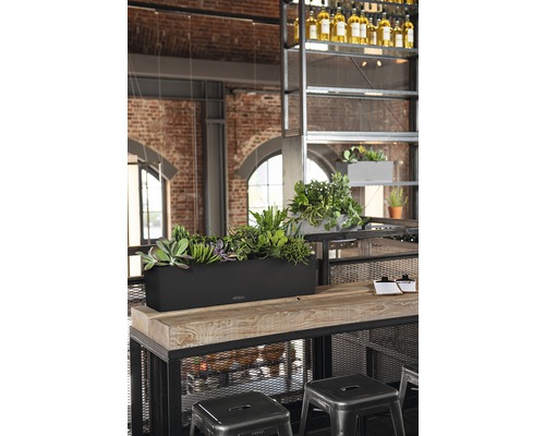 Scen med en blomlåda med olika växter på ett träbord i ett rum med industriell design