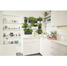 Självvattnande blomkruka LECHUZA Cube Color Green Wall plast 48x14x14cm grå inkl. hållare