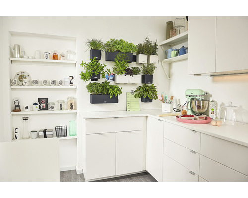 Ljust kök med örtträdgård på väggen och köksmaskin på arbetsbänken.