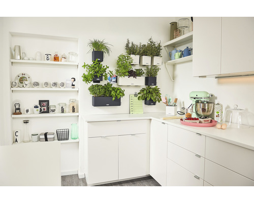 Köksscen med vita köksskåp, hyllor och örter i väggkrukor