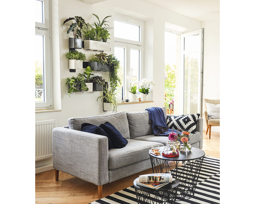 Vardagsrum med grå soffa, växtvägg och svarta soffbord i metalltråd