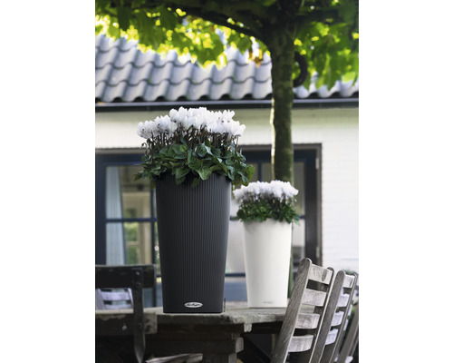 Två blomkrukor med blommor på ett träbord utomhus