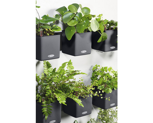 Väggplantering med olika växter i strukturerade, grå planteringskärl