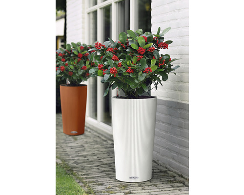 Två blomkrukor med växter står framför en byggnad.