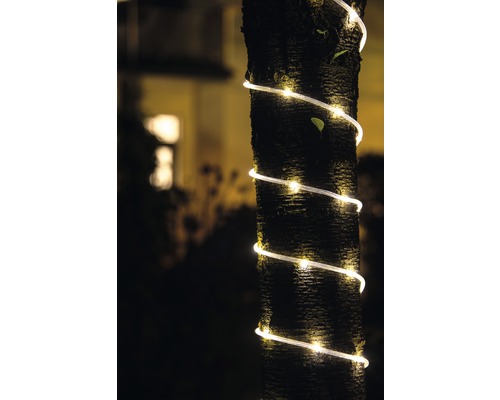 Trädstam med en tvinnad ljusslinga för utomhusdekoration