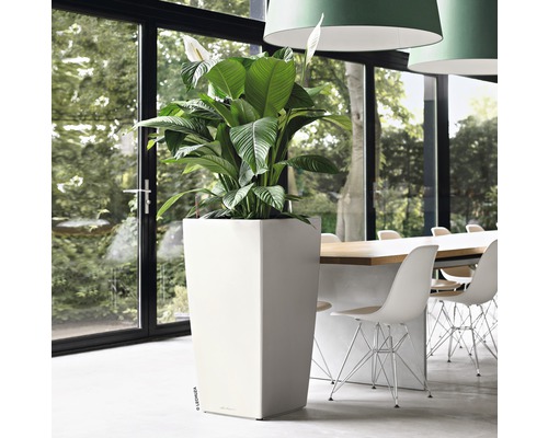 Rum med en hög, fyrkantig blomkruka och en krukväxt