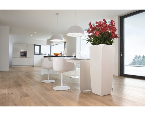 Ljus interiör med kök, matbord, stolar, lampor och en hög, vit blomkruka med röda blommor