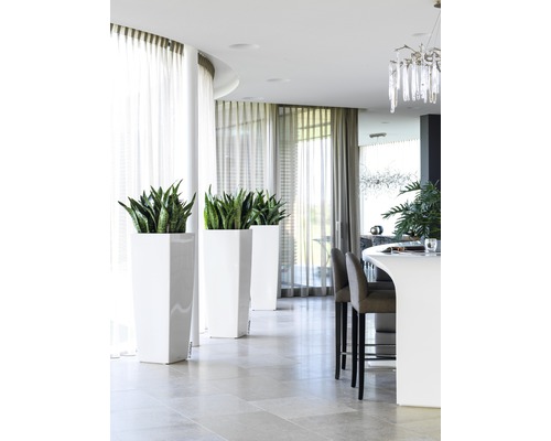 Ljus, modern inredning med växter i planteringskärl