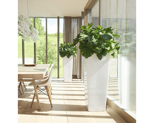 Ljust rum med två vita planteringskärl och växter bredvid ett matbord.