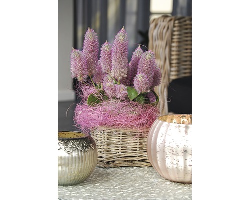 Dekorativ blomsterarrangemang i korg med två värmeljushållare