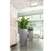 Självvattnande blomkruka LECHUZA Cubico 40 plast 40x40x105cm silver inkl. substrat