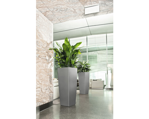 Höga planteringskärl med gröna växter inomhus.