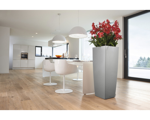 Ljust rum med matbord, stolar, kök och blomlåda med blommor