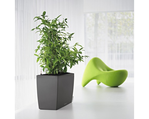 Fyrkantig planteringslåda med grön växt och en grön stol i bakgrunden