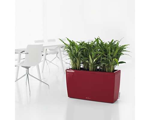 Rektangulär planteringslåda med gröna växter på golvet