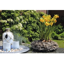 Dekorativ scen med påskliljor i ett träbo, en glasflaska med repdekoration och lyktor på en bricka