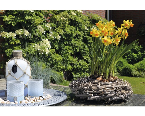 Dekorativ scen med påskliljor i ett träbo, en glasflaska med repdekoration och lyktor på en bricka