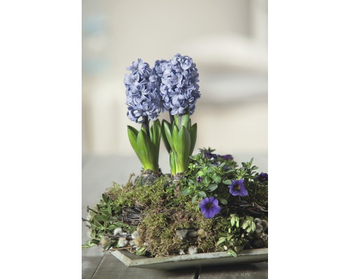 Arrangemang med hyacinter och andra vårblommor i en skål.