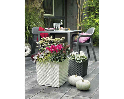 Dekorativ trädgårdsscen med vita och mörka blomlådor planterade med blommor och pumpor i förgrunden.