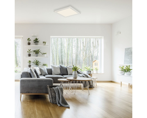 Vardagsrum med grå soffa, växter och fyrkantig taklampa