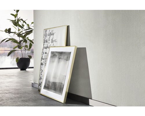 Två inramade bilder står mot en ljus vägg, bredvid en krukväxt.