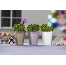Självvattnande blomkruka LECHUZA Deltini Mini plast Ø10x13cm vit