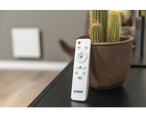 Eurom värmefjärrkontroll bredvid kaktus i kruka