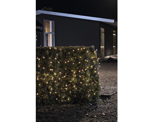 Häck med ljusslinga framför hus