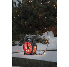 Ljusslinga på kabelvinda framför snötäckt buske