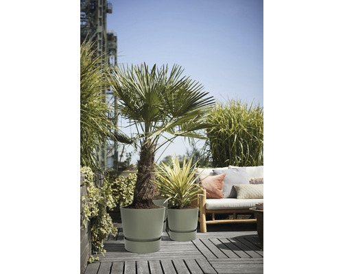 Scen med växter i planteringskärl på en terrass