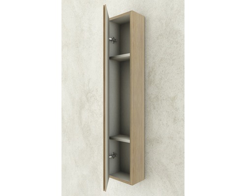 Vägghängd skåp med öppen dörr och två hyllor