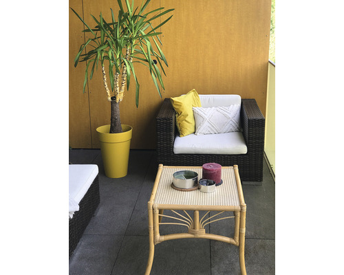 Terrass med rottingfåtölj, soffbord, prydnadskuddar och krukväxt i kruka