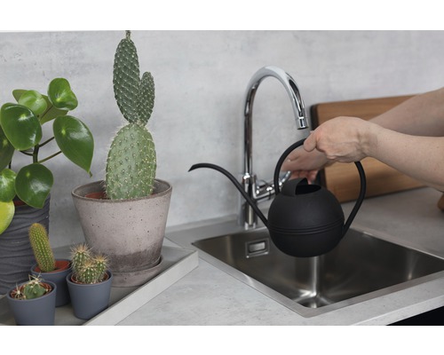 En person fyller en svart vattenkanna vid kranen bredvid olika krukväxter.